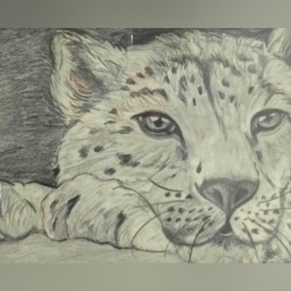 Leopard drawing by Fairygodmother Emily Jean #bigcats cat - Picture 3 of 3